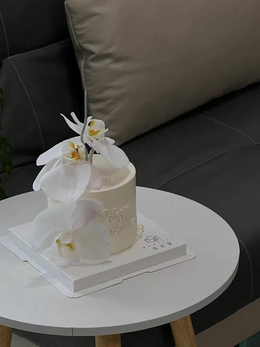 4寸蝴蝶兰 商品图0