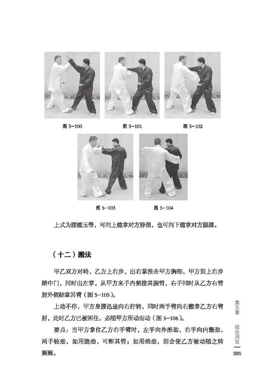 龙形八卦掌 商品图3