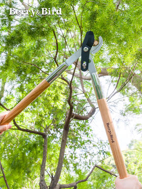 Berry&Bird园艺粗枝剪