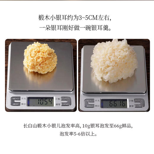 【冯站长专享】长白山椴木银耳（五星级) 商品图5