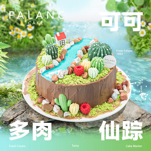 魔法多肉小镇儿童生日蛋糕 | FALANC CAKE 商品图0