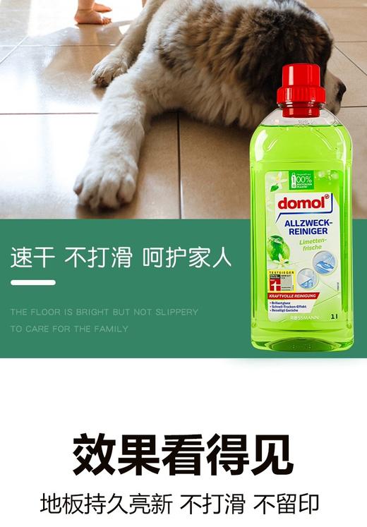 【中欧班列直供2瓶】德国domol多功能清洁剂浴室瓷砖厕所地表面玻璃去污剂卫生间 1000mL/瓶*2 商品图5