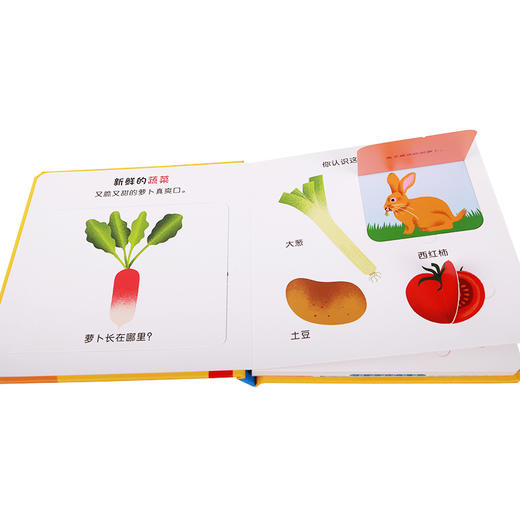 宝宝成长第一步玩具书 0-2岁 基科等 著 玩具书 商品图2