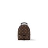 【预定款】LOUIS VUITTON 路易威登 女士经典 Palm Springs 迷你双肩包 M44873 商品缩略图0