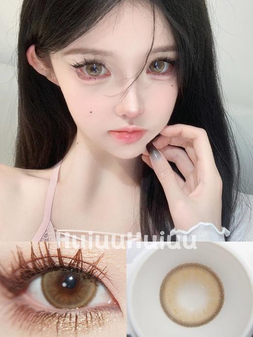 【大直径】Agenscolor- 香草雪松-14.5mm 【年抛 度数0-1000度 无525/575】 商品图0