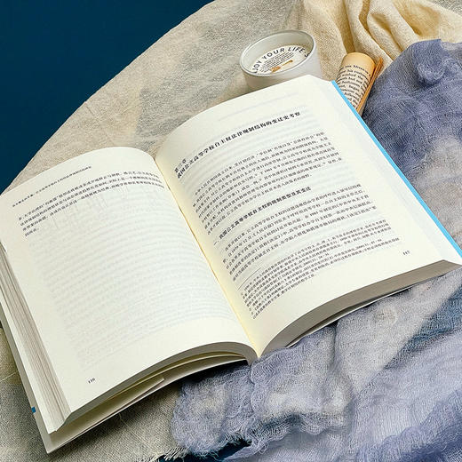 从失衡走向平衡 公立高等学校自主权的法律规制结构研究 姚荣著 商品图6