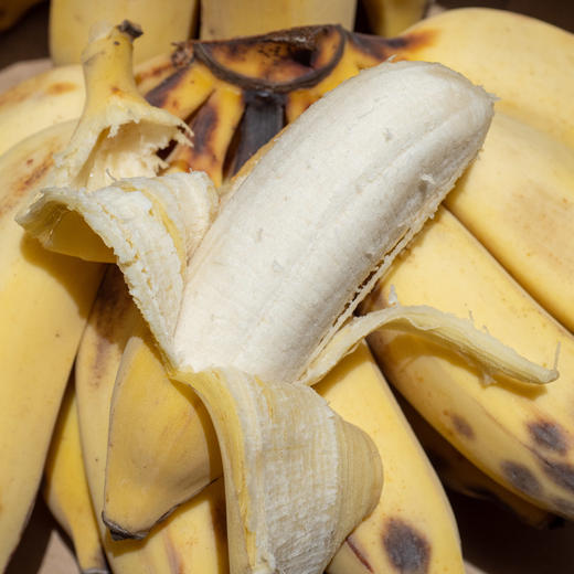 云南野放芭蕉 商品图1