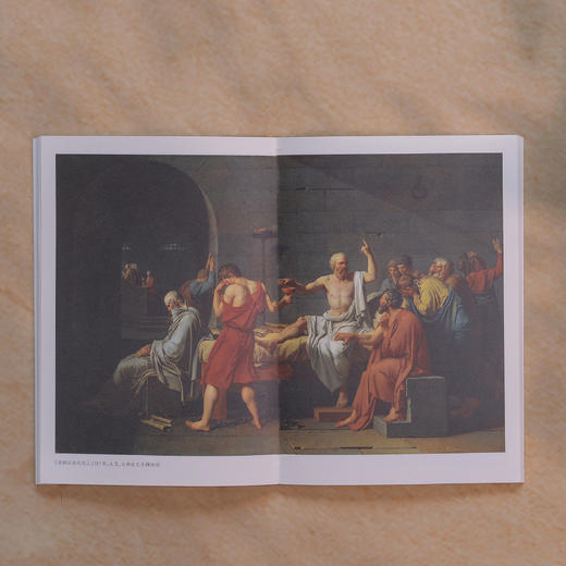 《博物馆寻美》（大家美育课） 商品图4