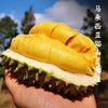 【冰淇淋口感 入口即化】马来西亚猫山王榴莲   中果3.8斤+/大果5斤+丨果蔬生鲜 商品缩略图0