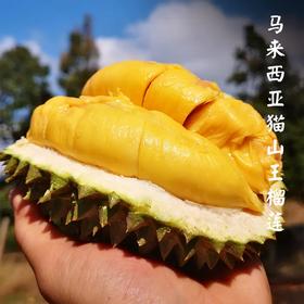 【冰淇淋口感 入口即化】马来西亚猫山王榴莲   中果3.8斤+/大果5斤+丨果蔬生鲜