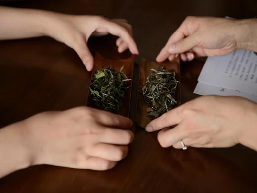 全新升级版 「发现茶之美」筑基课 2023年度报名通道 商品图0