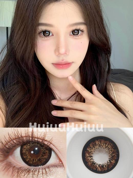 【大直径】Sheepcon-黑皮诺棕-14.5mm【年抛 度数0-1000度 含525/575】 商品图0