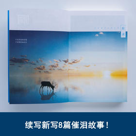 啊20 大冰 著 作品集