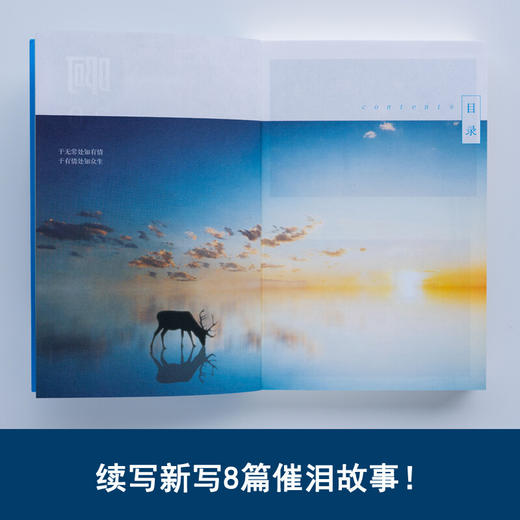 啊20 大冰 著 作品集 商品图0