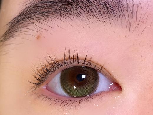 Amore品牌--AmourGreen柠檬草 商品图12