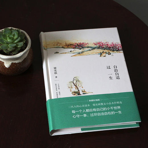 梁实秋 自洽自适过一生 梁实秋 著 文学 商品图0