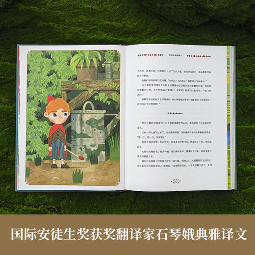 世界儿童文学经典：骑鹅旅行记 商品图7