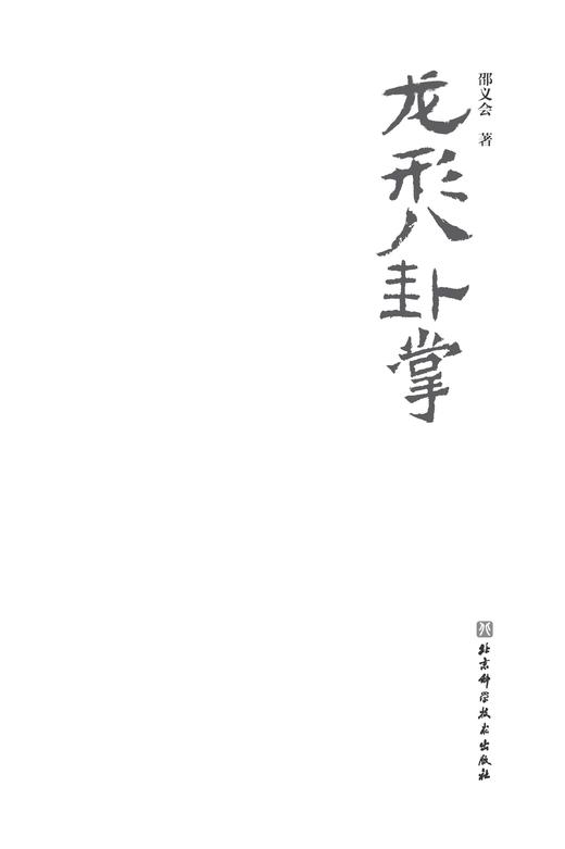 龙形八卦掌 商品图1