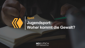 35.【体育】青少年运动中的暴力（MP3）