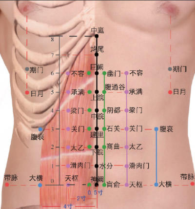 【出版社直销】图解针灸穴位速查速用（彩图版）睢明河 著 中国中医药出版社 穴位小辞典 学中医了解穴位中医书籍 商品图4