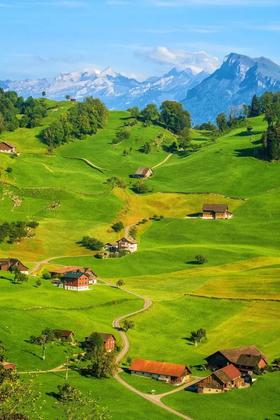  人均月薪6万的苏黎世，这个商品被疯抢 