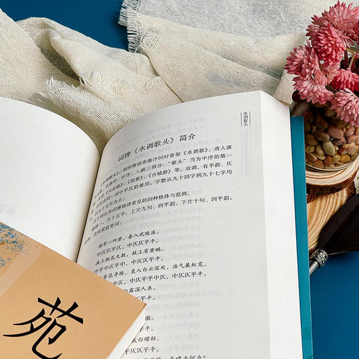 词苑漫话——常用词牌及其历代佳作赏析 王能全 商品图11