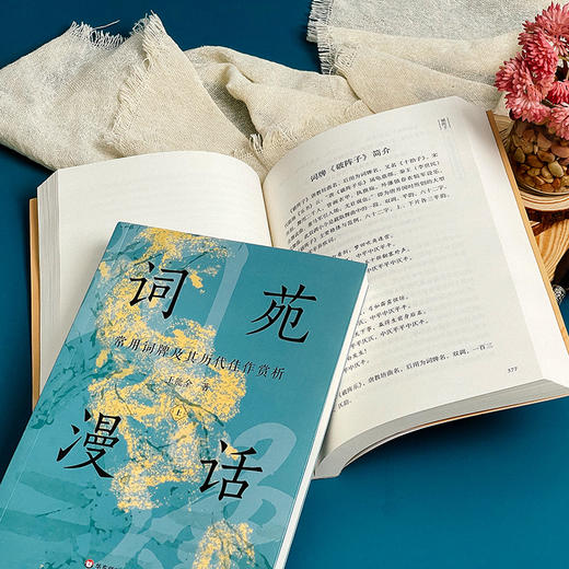 词苑漫话——常用词牌及其历代佳作赏析 王能全 商品图7