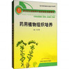 【出版社直销】药用植物组织培养 新世纪全国高等中医药院校创新教材 钱子刚 主编 中国中医药出版社 商品缩略图1