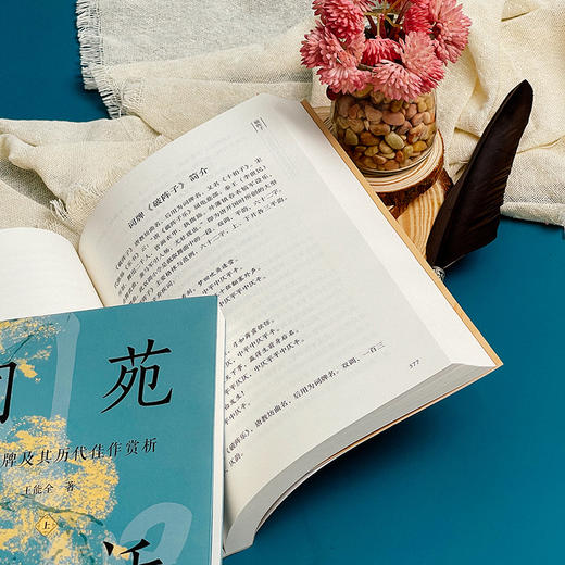 词苑漫话——常用词牌及其历代佳作赏析 王能全 商品图6