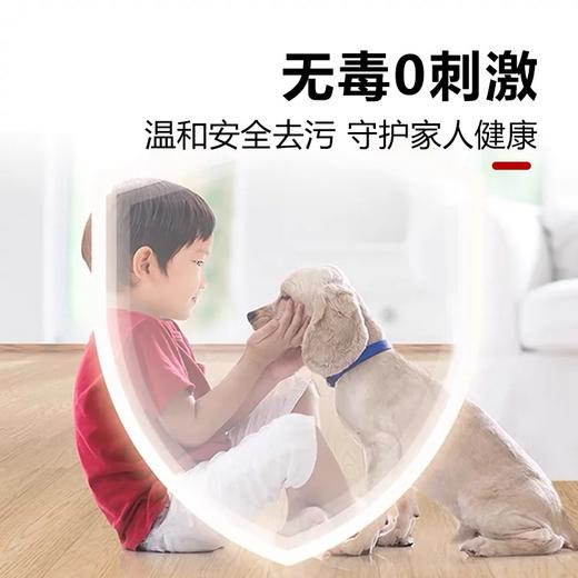 【中欧班列直供2瓶】德国domol多功能清洁剂浴室瓷砖厕所地表面玻璃去污剂卫生间 1000mL/瓶*2 商品图1