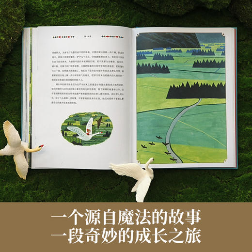 世界儿童文学经典：骑鹅旅行记 商品图1