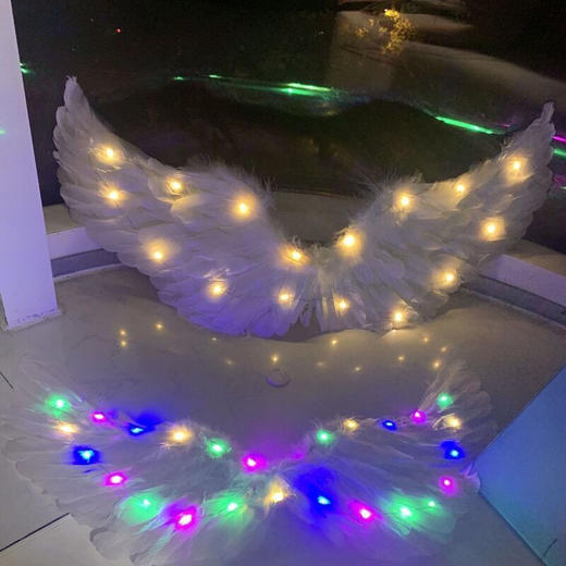 发光羽毛翅膀天使羽毛翅膀公主羽毛翅膀小女孩拍照表演道具花童女 商品图5