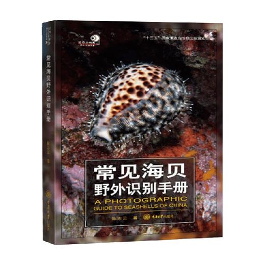 常见海贝野外识别手册 陈志云 著 科普读物 商品图1