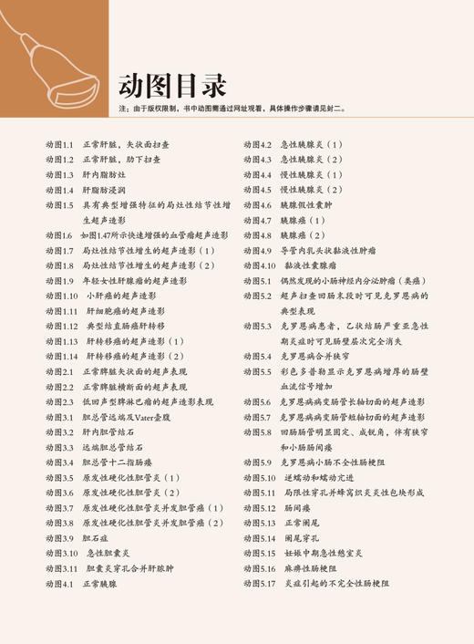 超声诊断学 第5版 消化系统分册 梁萍等译 肝脏脾脏胰腺胆道系统等脏器检查 超声影像诊断技术 基本技能规范 科学技术文献出版社 商品图3