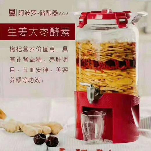 居元素储酿器 阿波罗（单罐不含食材） 商品图0