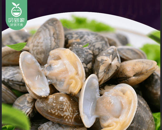 净化鲜活本地大花蛤（500g±20g/份 约35个） 商品图3