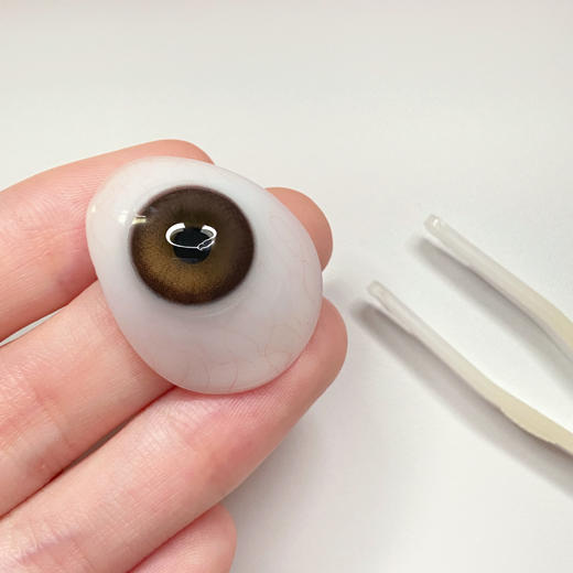 Amore品牌--AmourBrown月亮蛋 商品图6