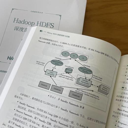 官网 Hadoop HDFS深度剖析与实践 祝江华 大数据科学丛书 Hadoop HDFS 数据库 数据湖 分布式技术书籍 商品图3