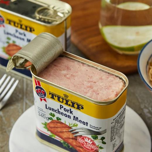 【中欧班列直供】丹麦进口郁金香猪肉午餐肉罐头340g/罐 商品图4