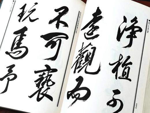 《康熙雍正乾隆墨宝合璧》，平装16开，吴元真选编，湖南师范大学1999年一版一印，604页，定价86，售价35元。非偏远地区包邮 商品图9