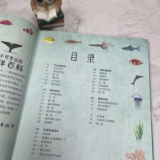 DK不可思议的海洋百科 商品图1