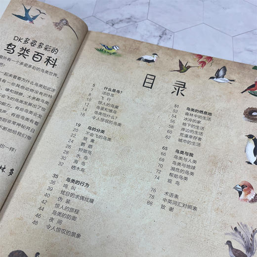 【图书】《DK多姿多彩的鸟类百科》 商品图2