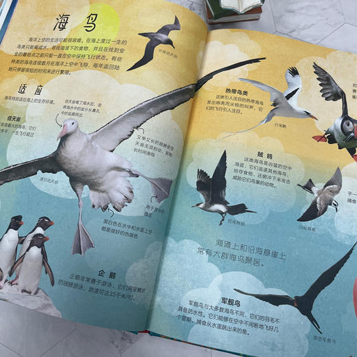 DK不可思议的海洋百科 商品图4