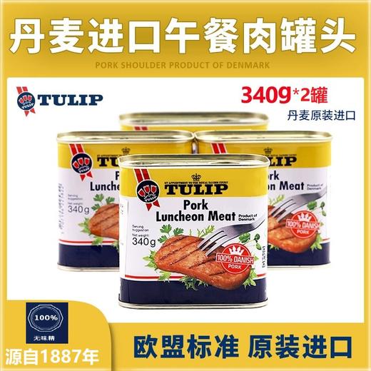【中欧班列直供】丹麦进口郁金香猪肉午餐肉罐头340g/罐 商品图1
