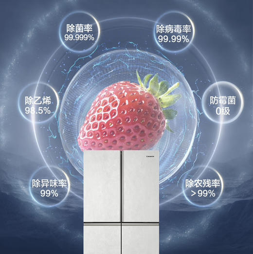 卡萨帝（Casarte）冰箱 BCD-550WLCFPA4W5U1 商品图7