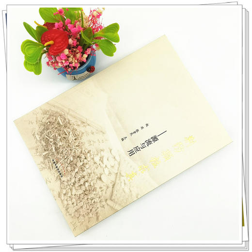 【出版社直销】荆防颗粒求真--源流与应用  赵琰 张贵民 著   中国中医药出版社    商品图2