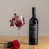 百年名庄珍藏版！入选世界醉好酒庄——阿根廷门多萨产区诺顿酒庄黑标混酿红葡萄酒 商品缩略图1