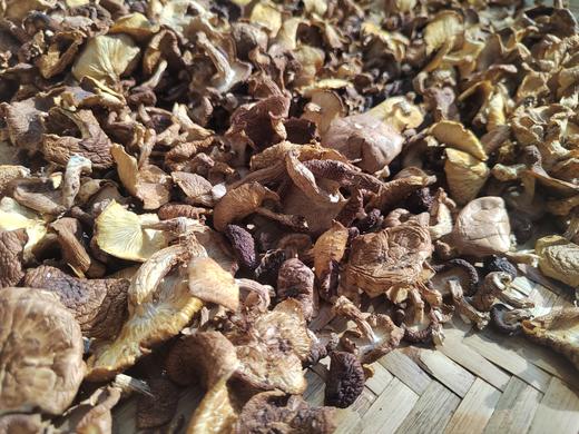 【野生香菇】2023年干香菇 | 柴火烘烤干、无硫薰，炖汤火锅必备 | 源自云南深山，产地直发 商品图1