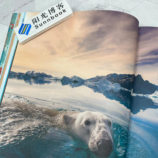 DK不可思议的海洋百科 商品图3