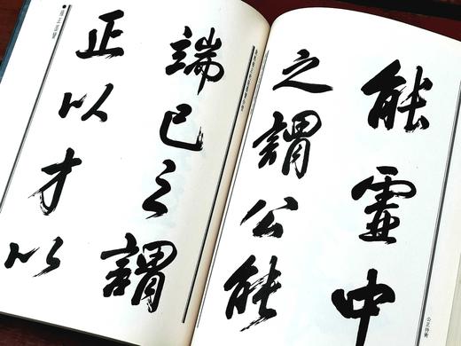 《康熙雍正乾隆墨宝合璧》，平装16开，吴元真选编，湖南师范大学1999年一版一印，604页，定价86，售价35元。非偏远地区包邮 商品图13